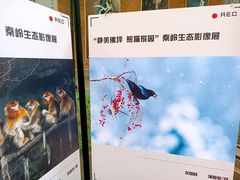 -西安电影制片厂