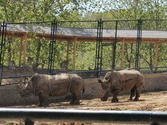 -大连森林动物园