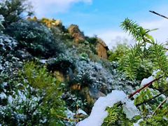 -白草畔自然风景区