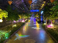 -南宫五洲植物乐园