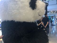 -喝丢一只鞋海鲜烧烤·海肠捞饭(东关街店)
