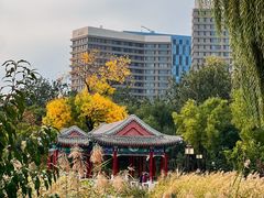 -西海子公园
