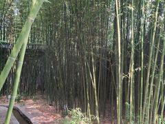 -竹泉村旅游度假区