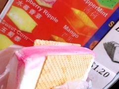 -詹爷爷乌节路街头冰淇淋