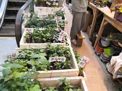 -双季花艺园艺市场(浦东店)