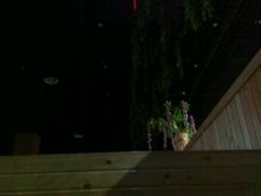 -九华山酒店温泉