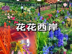 -龙美术馆(西岸馆)