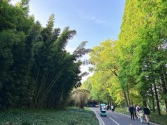 -采石矶景区