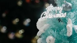 -中谷小南国花园酒店·宴会厅