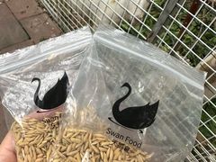 -厦门悦华酒店