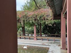 -北陵公园