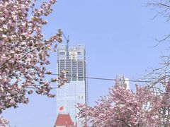 -天津五大道文化旅游区