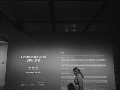 -知美术馆
