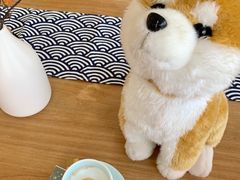 -柴犬小屋·柴餐厅·狗咖食堂(金鼎广场店)