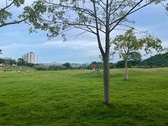 -风云岭森林公园