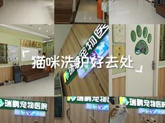 -瑞鹏宠物医院·夜间急症·心超·猫科(祖庙分店)