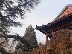 -宣武艺园