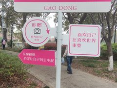 -高东镇樱花园