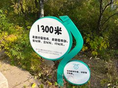 -北京十三陵国家森林公园蟒山景区