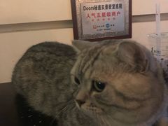 -Doors独立剧情密室(东门分店)