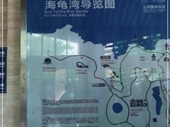-广东惠东海龟国家级自然保护区