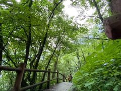 -九峰山