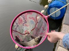 -酷鱼垂钓CLUB(朝阳区博大路店 )