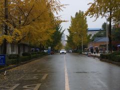 -四川大学(望江校区)