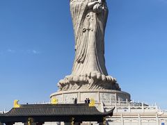 -悦海·家宴·冰花皮皮虾大锅贴(宝龙店)