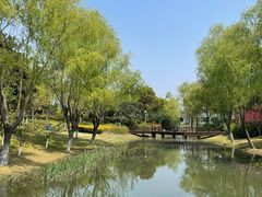 -尚贤河湿地