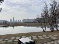 -洋湖国家湿地公园
