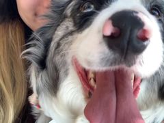 -孔雀湖生态旅游区