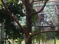 -南通洲际绿博园