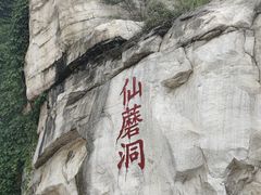 -仙蘑洞