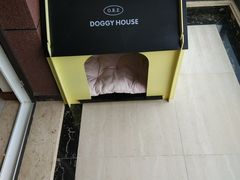 -傣妹火锅(狮子桥店)