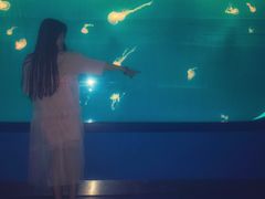 -多彩贵州城极地海洋世界