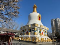 -护国法轮寺