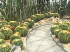-深圳仙湖植物园-停车场