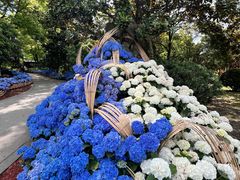 -上海鲜花港