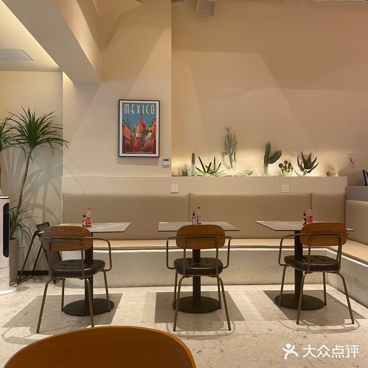 成都新店｜神仙树环境超棒的taco 🔥