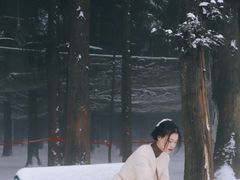 -武陵山森林公园