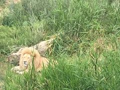 -新疆天山野生动物园