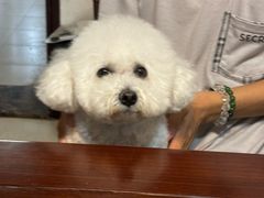 -乖乖宠物医院·猫科·骨科·24小时(云岗分院)