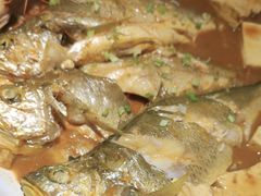 -船歌·鱼水饺青岛菜(金狮广场店)