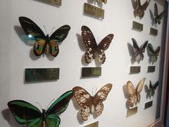 -上海昆虫博物馆