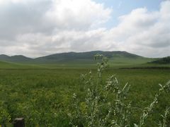 -塞罕坝国家级自然保护区