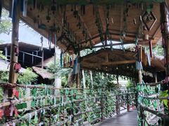 -海南槟榔谷黎苗文化旅游区