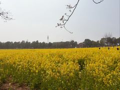 -崔岗艺术村