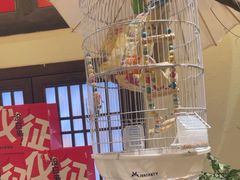 -永安水煮活鱼·仪征土菜院子