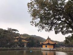 -普陀山风景名胜区-法雨禅寺